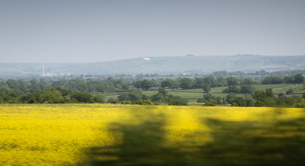 Cheval scupté dans la craie country side de Bath